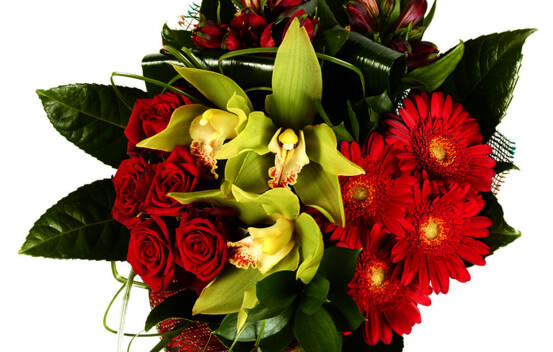 Bouquet Cosmopolitan