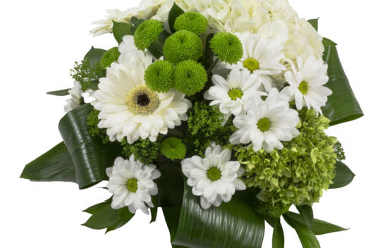 Bouquet Margarita