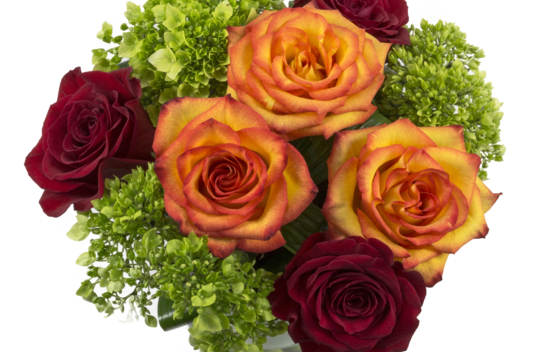 Bouquet P&eacute;pito