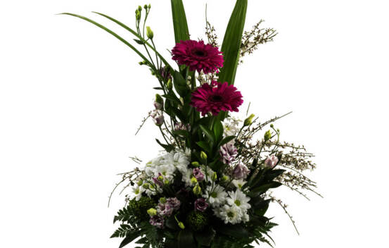 Arrangement le Classique