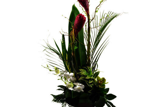 Arrangement Tropical Ginger