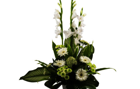 Arrangement Lac Blanc