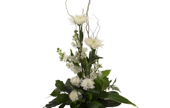 Arrangement Blanc murmure