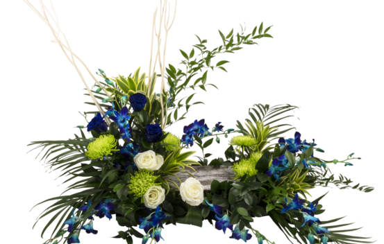 Montage pour urne Lune bleu