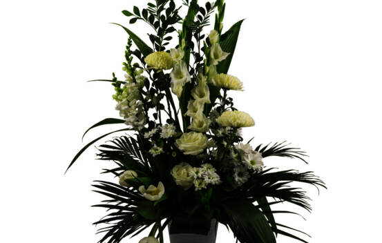 Arrangement Perle blanche