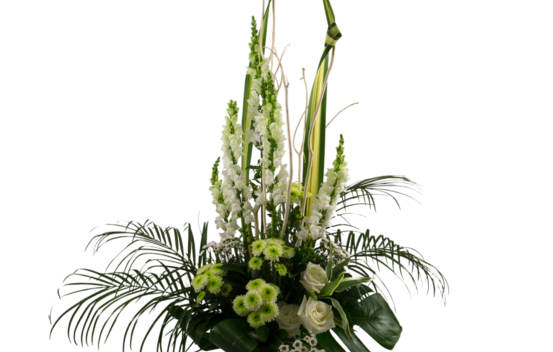 Arrangement Blanc perl&eacute;