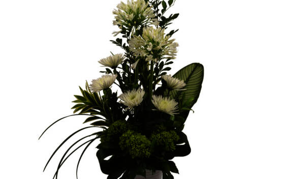 Arrangement Montagne blanche