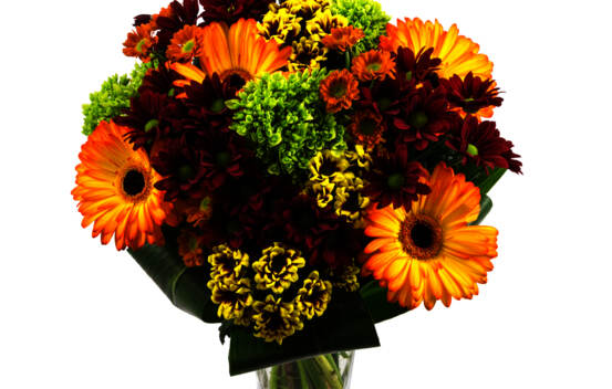 Bouquet Feu de camp flambant