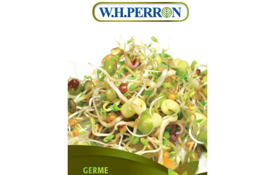Germe M&eacute;lange Vitalit&eacute; (Semences)