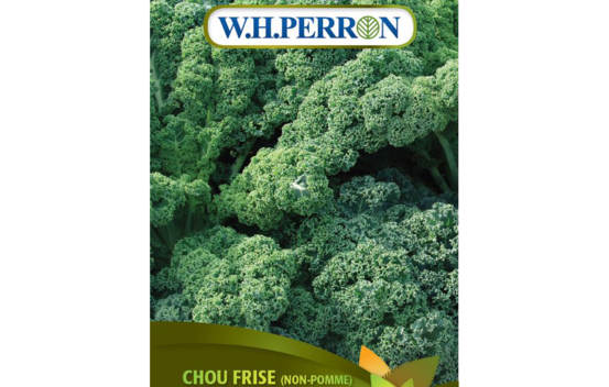 Chou fris&eacute; Rogue Vert (Kale) (Semences)