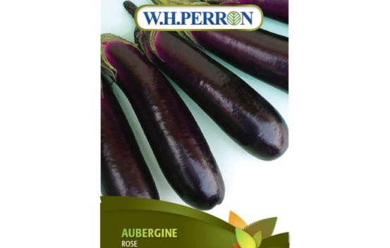 Aubergine Rose (Semences)