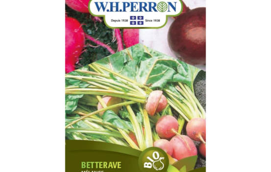 Betterave M&eacute;lange Biologique (Jaune, Rouge et Bicolore) (Semences)
