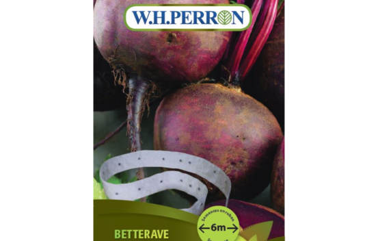 Betterave Boltardy (En ruban 6 m) (Semences)