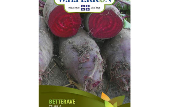 Betterave Taunus (Semences)