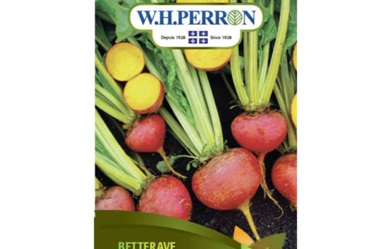 Betterave Jaune Biologique (Semences)