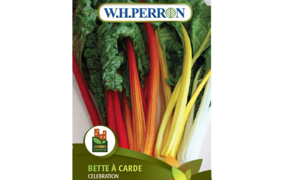 Bette &agrave; carde Celebration (Semences)