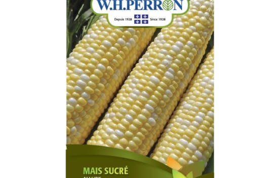 Ma&iuml;s Sucr&eacute; Allure (Semences)