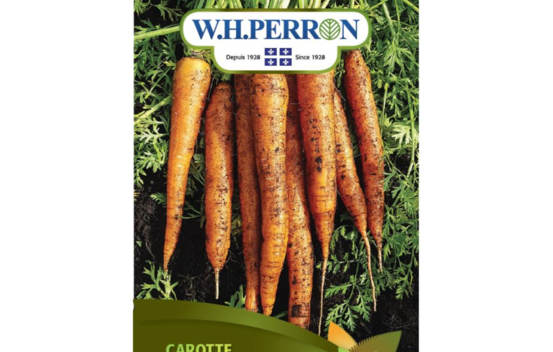 Carotte Imperator (Semences)