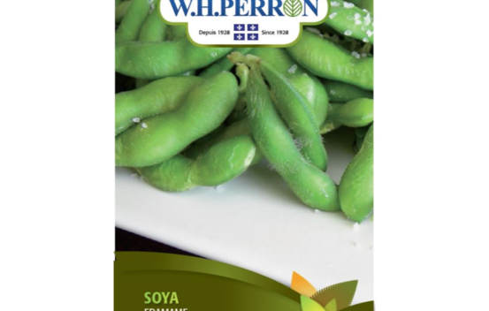 Soya Edamame (Semences)