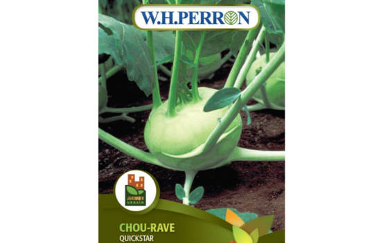 Chou-Rave Quickstar (Semences)