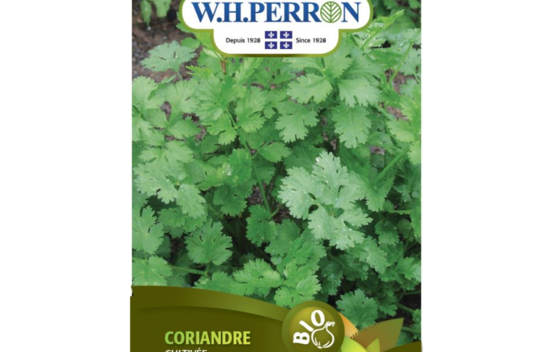 Coriandre Cultiv&eacute;e Biologique (Semences)