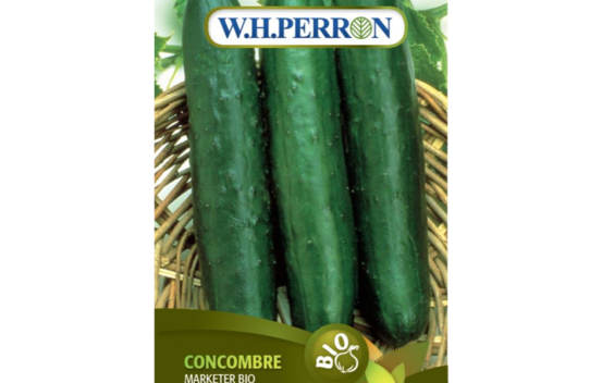 Concombre Marketer Biologique (Semences)