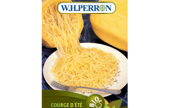 Courge d'&Eacute;t&eacute; Spaghetti Biologique (Semences)