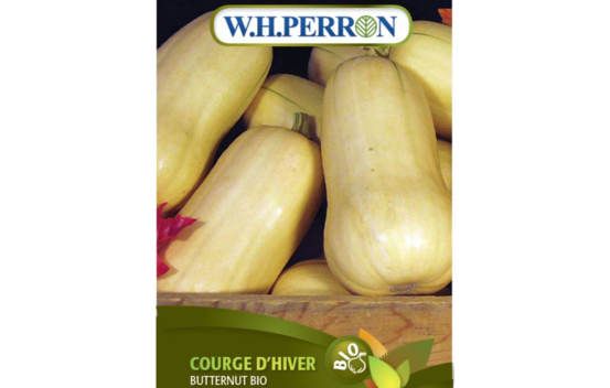 Courge d'Hiver Butternut Biologique (Semences)