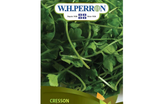Cresson Fris&eacute; (Semences)
