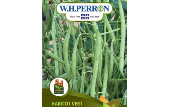 Haricot Vert Mascotte (Buisson) (Semences)