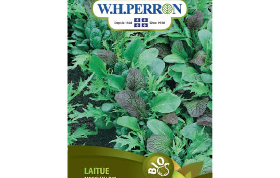 Laitue Mesclun Biologique (Semences)