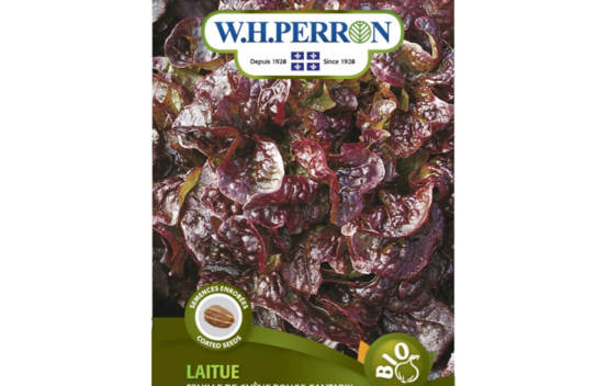 Laitue Feuille de Ch&ecirc;ne Rouge Cantarix Biologique (Semences enrob&eacute;es)
