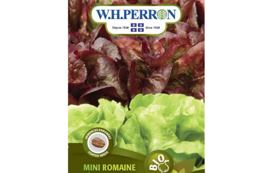 Laitue Mini Romaine M&eacute;lange Biologique (Rouge et Verte) (Semences enrob&eacute;es)