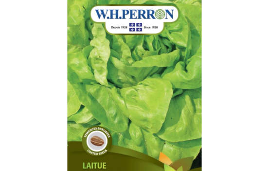 Laitue Boston Verte Rhapsody (Semences enrob&eacute;es)