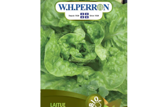 Laitue Boston Verte Biologique (Semences)