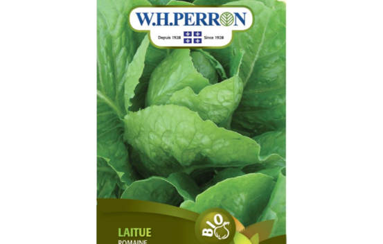 Laitue Romaine Biologique (Semences)