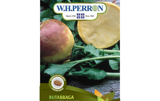 Rutabaga Laurentien Thomson (Semences enrob&eacute;es) (Semences)