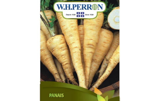 Panais (Semences)