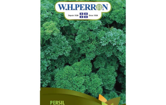 Persil Fris&eacute; Vert Fonc&eacute; (Semences)