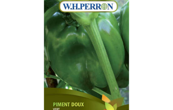 Poivron Vert (Semences)
