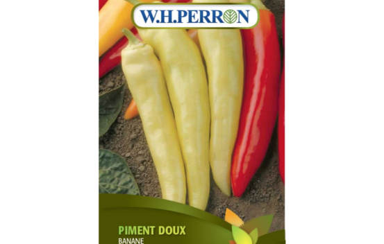 Piment Doux Banane (Semences)