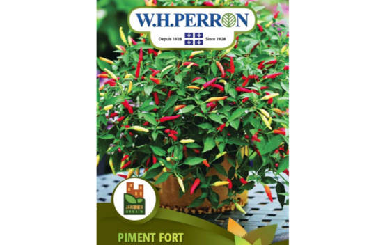 Piment Fort Basket of Fire (Semences)