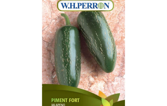 Piment Fort Jalape&ntilde;o (Semences)