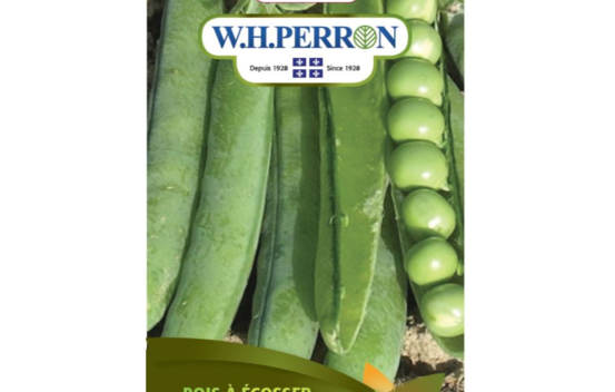 Pois &agrave; &Eacute;cosser (Semences)