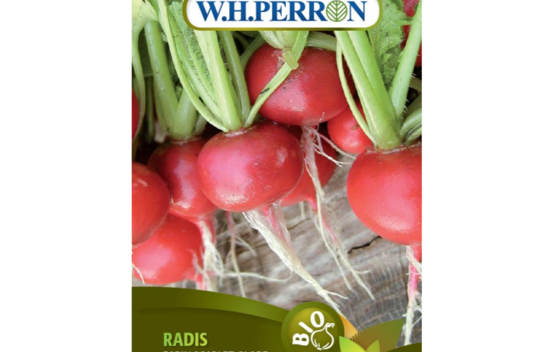 Radis Early Scarlet Globe Biologique (Semences)