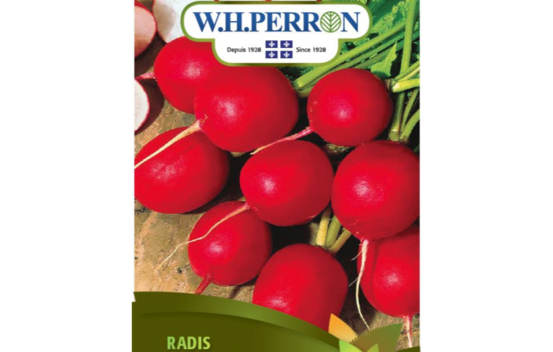 Radis Rond Ecarlate (Semences)