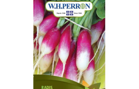 Radis D&eacute;jeuner Fran&ccedil;ais (Semences)