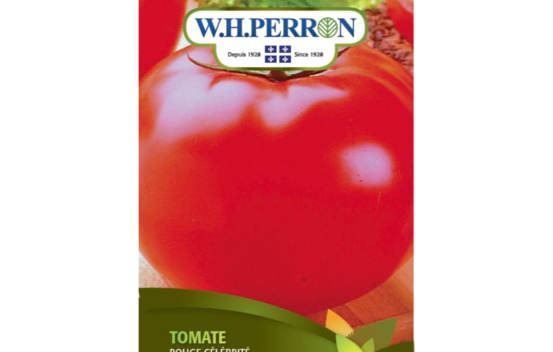 Tomate Rouge Mega Fantastique (Semences)