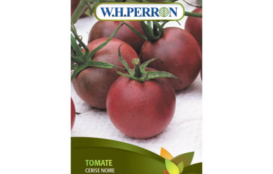 Tomate Cerise Noire (Semences)
