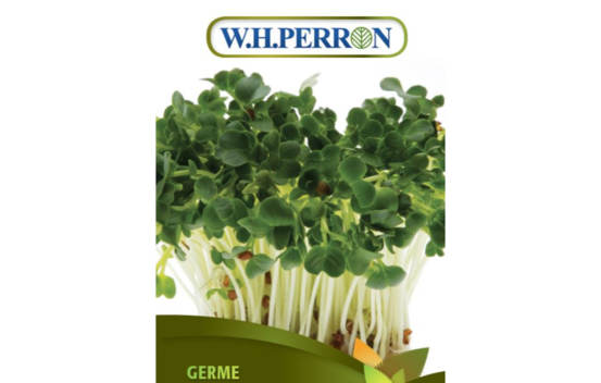Germe de Radis Daikon Biologique (Vert) (Semences)